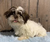 processed/dce86e4c-490c-4e94-9af8-0a9e9d1dec30/listing/b14d8bcb-40fa-4081-8735-f2628081a35d/5abc55d5-12ce-4d36-9e14-e3aa526fc8c1