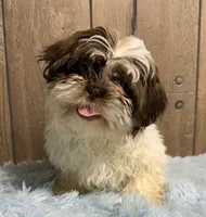 processed/dce86e4c-490c-4e94-9af8-0a9e9d1dec30/listing/b14d8bcb-40fa-4081-8735-f2628081a35d/6ef66f0d-2302-41f4-85c4-69fa455c44ed