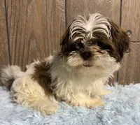 processed/dce86e4c-490c-4e94-9af8-0a9e9d1dec30/listing/b14d8bcb-40fa-4081-8735-f2628081a35d/8634c5b5-e4c0-47b1-ae4f-a0360ce78895