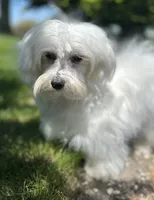 processed/dce86e4c-490c-4e94-9af8-0a9e9d1dec30/listing/be0480a1-50ab-4b12-882b-064e3a05c9ad/80e47346-e84a-4605-99cd-9164d80746e5