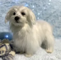 processed/dce86e4c-490c-4e94-9af8-0a9e9d1dec30/listing/be0480a1-50ab-4b12-882b-064e3a05c9ad/a2ec6263-b8ff-45ca-9b11-12be8616b530