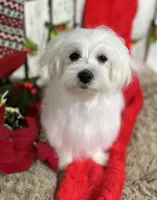 processed/dce86e4c-490c-4e94-9af8-0a9e9d1dec30/listing/be0480a1-50ab-4b12-882b-064e3a05c9ad/a4e4e958-8cc3-4f59-b12a-7928cc7b7d26