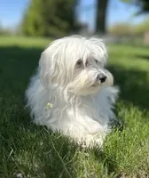 processed/dce86e4c-490c-4e94-9af8-0a9e9d1dec30/listing/be0480a1-50ab-4b12-882b-064e3a05c9ad/bb24d388-2674-469d-9956-c94485c313b3