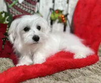 processed/dce86e4c-490c-4e94-9af8-0a9e9d1dec30/listing/be0480a1-50ab-4b12-882b-064e3a05c9ad/e8c87b32-2cef-4a71-a7c2-ffb86f47b0f9