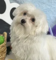 processed/dce86e4c-490c-4e94-9af8-0a9e9d1dec30/listing/f39a1a61-f23b-4973-9939-45de50c694fa/9b436502-4072-4707-8209-cd3607de5370