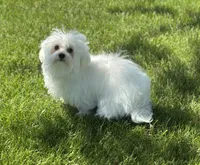 processed/dce86e4c-490c-4e94-9af8-0a9e9d1dec30/listing/f39a1a61-f23b-4973-9939-45de50c694fa/9c071119-3b39-4578-9af6-2abd84c35a8c