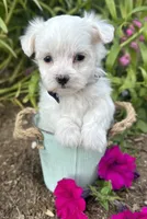 processed/dce86e4c-490c-4e94-9af8-0a9e9d1dec30/listing/f39a1a61-f23b-4973-9939-45de50c694fa/a5ac11d8-9431-4683-bc00-308112464539