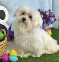 processed/dce86e4c-490c-4e94-9af8-0a9e9d1dec30/listing/f39a1a61-f23b-4973-9939-45de50c694fa/a86fece4-7f58-4f4b-92c2-0d8ae3ca6e9a