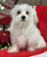 processed/dce86e4c-490c-4e94-9af8-0a9e9d1dec30/listing/f39a1a61-f23b-4973-9939-45de50c694fa/afb76647-fdf1-496e-b5f1-6da41201c099