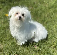 processed/dce86e4c-490c-4e94-9af8-0a9e9d1dec30/listing/f39a1a61-f23b-4973-9939-45de50c694fa/d5dbfdb7-27f9-4873-8a07-30c845bcb463