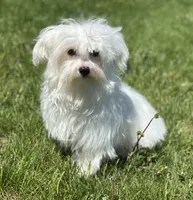 processed/dce86e4c-490c-4e94-9af8-0a9e9d1dec30/listing/f39a1a61-f23b-4973-9939-45de50c694fa/e17a8bf8-6877-4934-9bd8-84fad7f4c84a