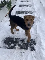 processed/dceb11b7-d4e4-4dca-8fd9-64b52b0bc3bd/listing/4af2b5ab-2167-446b-ad4f-f922902214d1/649856eb-fb29-4566-8d05-dca953818932