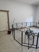 processed/dcef2759-a8db-4a3a-af17-5fbd2aa4751c/facility/4916a682-99a9-4a1e-88b7-06b6225489c9