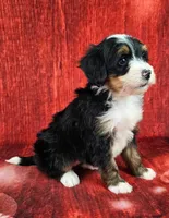 processed/dcef2759-a8db-4a3a-af17-5fbd2aa4751c/listing/055dff69-056d-41a7-8a7c-a491a5d6e151/5047e125-121d-4b6d-8fe8-2f19c78a6709