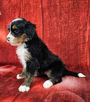 processed/dcef2759-a8db-4a3a-af17-5fbd2aa4751c/listing/055dff69-056d-41a7-8a7c-a491a5d6e151/5614885e-b9b7-404d-9ed2-ea8153b0879e