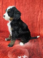 processed/dcef2759-a8db-4a3a-af17-5fbd2aa4751c/listing/5f234ecd-b1a2-44f6-b61a-15708ad3ba2f/57107aca-f40d-43db-adfc-2a1f52524cda