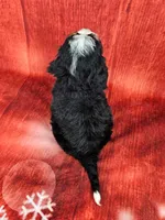 processed/dcef2759-a8db-4a3a-af17-5fbd2aa4751c/listing/5f234ecd-b1a2-44f6-b61a-15708ad3ba2f/b8d866a1-8469-4784-9b9d-75149b12f4e6