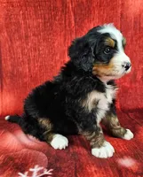 processed/dcef2759-a8db-4a3a-af17-5fbd2aa4751c/listing/84dc774b-8e3b-4fdf-a6f2-7959779f904d/6cd8a845-c61b-4e8c-aed7-6537373a734d