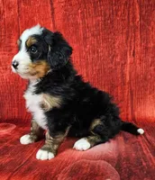 processed/dcef2759-a8db-4a3a-af17-5fbd2aa4751c/listing/84dc774b-8e3b-4fdf-a6f2-7959779f904d/822c81d4-aeec-495f-9a7a-e9b32c779d42