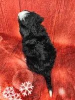 processed/dcef2759-a8db-4a3a-af17-5fbd2aa4751c/listing/84dc774b-8e3b-4fdf-a6f2-7959779f904d/e1cc10ce-99ba-4b8d-85ab-2383ee383348