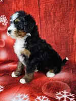 processed/dcef2759-a8db-4a3a-af17-5fbd2aa4751c/listing/93545cdc-20f0-47bd-bc30-f1c6f7988fbd/236a6cdc-79aa-400c-b3e6-b1126cfa60f0