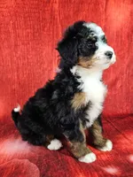 processed/dcef2759-a8db-4a3a-af17-5fbd2aa4751c/listing/93545cdc-20f0-47bd-bc30-f1c6f7988fbd/8ef0e30d-e1f8-41ff-9ceb-637f5862448f