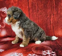 processed/dcef2759-a8db-4a3a-af17-5fbd2aa4751c/listing/b64b0eb3-57eb-4445-9b2c-4052e97d4935/4a6b2ac5-c7f8-445a-a314-2705369b1629