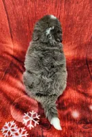 processed/dcef2759-a8db-4a3a-af17-5fbd2aa4751c/listing/b64b0eb3-57eb-4445-9b2c-4052e97d4935/63cd978f-774c-430e-8e62-8b2aecc7e6c7