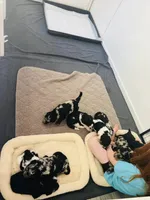 Facility photo