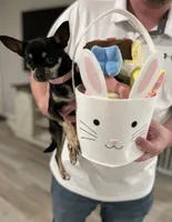 Ella , a female Chihuahua for sale in San Antonio, TX – 1 of 5