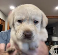 processed/dd049376-9a3c-41c9-92a0-84681bb9facf/listing/18069110-71e8-43d9-8898-ab7e4840dffa/3ef85db5-f723-402c-9728-5e1d1d703a16