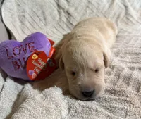 processed/dd049376-9a3c-41c9-92a0-84681bb9facf/listing/18069110-71e8-43d9-8898-ab7e4840dffa/667e5be2-8176-4191-a5f8-240bf1949fb1