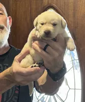 processed/dd049376-9a3c-41c9-92a0-84681bb9facf/listing/18069110-71e8-43d9-8898-ab7e4840dffa/b20947bc-a2a2-4b09-aebc-05a2f385c64b