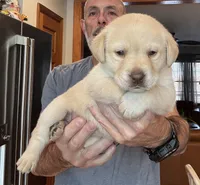 processed/dd049376-9a3c-41c9-92a0-84681bb9facf/listing/18069110-71e8-43d9-8898-ab7e4840dffa/f33c3e2c-8bf5-4d84-b836-9dda86fd452e