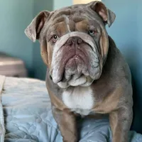 processed/dd19d926-6c94-4c4d-b5c2-f57df768cf1d/facility/02bd1e0b-8c08-4cb7-9a5c-a6ab661ef4ed