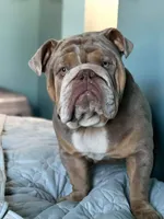 processed/dd19d926-6c94-4c4d-b5c2-f57df768cf1d/facility/02bd1e0b-8c08-4cb7-9a5c-a6ab661ef4ed