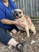 processed/dd19d926-6c94-4c4d-b5c2-f57df768cf1d/facility/14800a5d-58a0-4060-bfcf-f06cdb1c7c4e