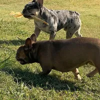 processed/dd19d926-6c94-4c4d-b5c2-f57df768cf1d/facility/35e6325b-ddc5-4aae-b416-b14ead4b9779