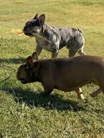 processed/dd19d926-6c94-4c4d-b5c2-f57df768cf1d/facility/35e6325b-ddc5-4aae-b416-b14ead4b9779