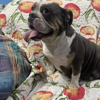 processed/dd19d926-6c94-4c4d-b5c2-f57df768cf1d/facility/7d60f151-4a3d-43c1-af35-9f1d4924947e