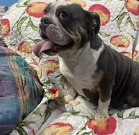 processed/dd19d926-6c94-4c4d-b5c2-f57df768cf1d/facility/7d60f151-4a3d-43c1-af35-9f1d4924947e