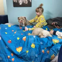 processed/dd19d926-6c94-4c4d-b5c2-f57df768cf1d/facility/9b366633-2cab-471a-91c9-a0e8a6d6c83d