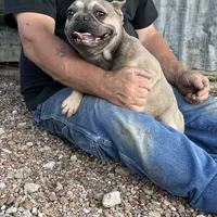 processed/dd19d926-6c94-4c4d-b5c2-f57df768cf1d/facility/a512ea07-963e-44a6-8a61-3d6e4c6a5e5f