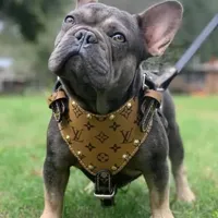 processed/dd19d926-6c94-4c4d-b5c2-f57df768cf1d/facility/ae9d6e23-1e0b-4610-ba11-dfabbc07ff85