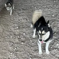 processed/dd19d926-6c94-4c4d-b5c2-f57df768cf1d/facility/c4159f34-929b-446e-9578-0619f263b315