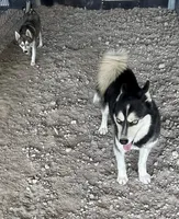 processed/dd19d926-6c94-4c4d-b5c2-f57df768cf1d/facility/c4159f34-929b-446e-9578-0619f263b315