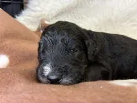 processed/dd25e584-0785-4203-88ca-42e19af1c88f/listing/70016ec7-47b9-4150-9087-2ca63527b1e8/1b3b41b1-9181-4f7b-a027-ae46c0a2dcd8