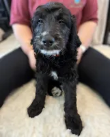 processed/dd25e584-0785-4203-88ca-42e19af1c88f/listing/70016ec7-47b9-4150-9087-2ca63527b1e8/1faecfe6-9d7e-408b-88e9-31263eb3caa5