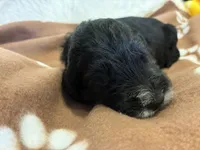 processed/dd25e584-0785-4203-88ca-42e19af1c88f/listing/70016ec7-47b9-4150-9087-2ca63527b1e8/9cd848ab-e134-4f05-afec-670b5ff3ac16