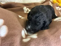 processed/dd25e584-0785-4203-88ca-42e19af1c88f/listing/70016ec7-47b9-4150-9087-2ca63527b1e8/ac6f65a7-de71-413a-b3ba-b7825149b5ac